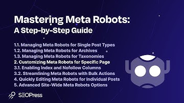 Customizing Meta Robots for Specific Page with SEOPress