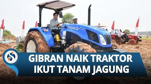 Bukti Kerja Nyata! Gibran Bawa Traktor untuk Tanam Jagung di Tangerang, Dukung Ketahanan Pangan