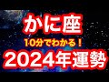 2024年の運勢🪷かに座 とんでもないことが起きようとしてます…!来年の誕生日付近に大チャンスあり!!「溜め込んだものを出す」が開運アクション(仕事・お金・人間関係)