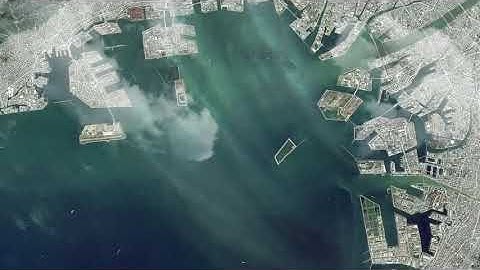 Synthetic Hyphae   Charles Wirion, Prof. C. Pasquero, M. Kuptsova