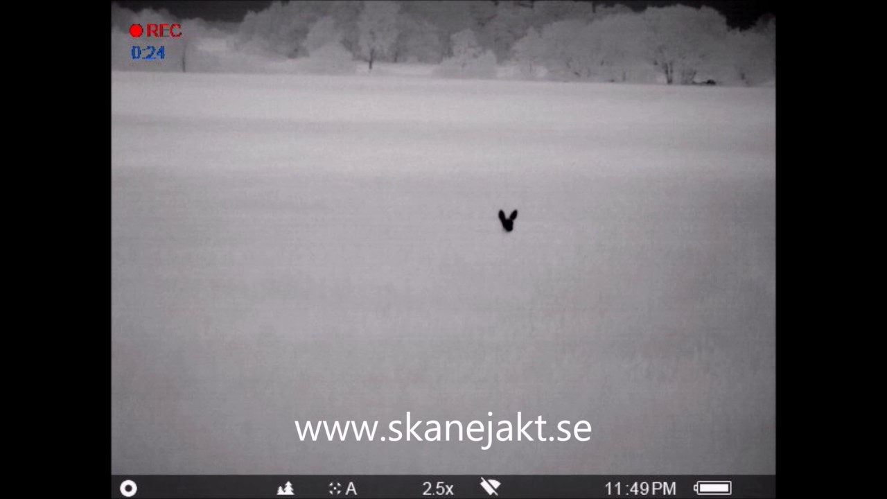 Hur man får en tjej att gilla dig på en dejtingsajt