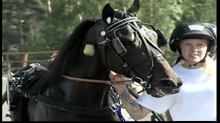 Vidéo de la course PMU PRIX AB KARL HEDINS LOPP BREEDERS' CROWN FYRAARIGA H