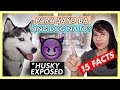 MGA DAPAT MONG MALAMAN BAGO MAG-ALAGA NG HUSKY DOG (PHILIPPINES) の動画、YouTube動画。