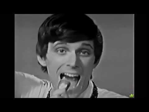 John Fred & His Playboy Band - Judy in Disguise (With Glasses) (Stereo Mix)