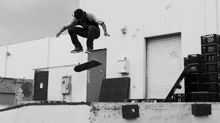 Meet Moose | Filament Brand