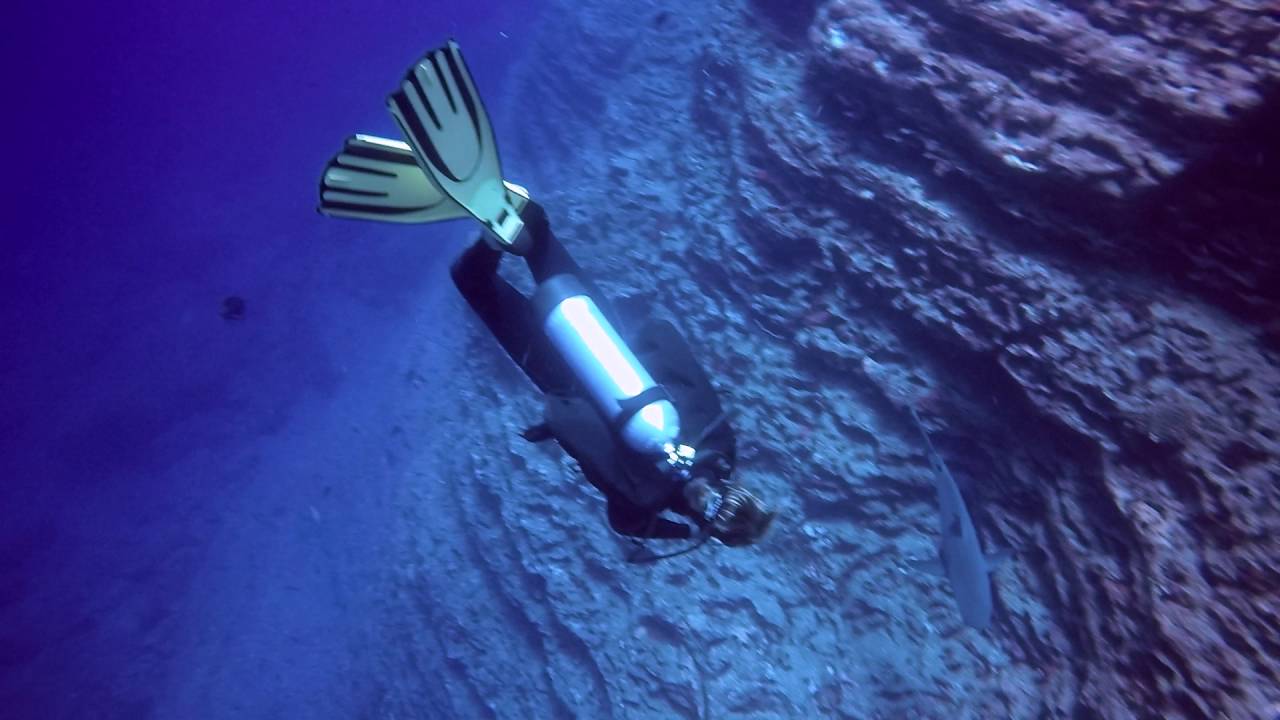 Diving Ni'ihau July 2016