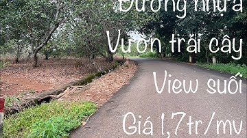 Vườn trái cây sát xã láng lớn huyện châu Đức tỉnh bà rịa Vũng tàu giá rẻ