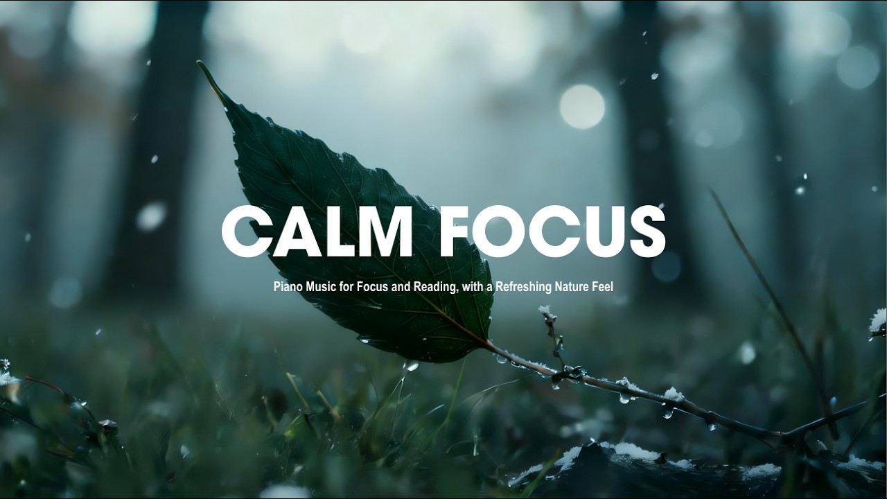 Focus Music for Work and Studying ✨ Background Music for Concentration