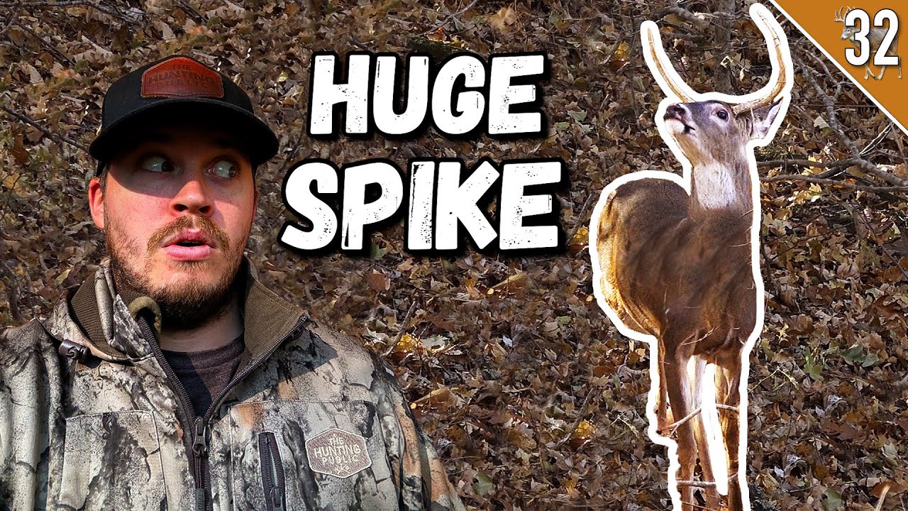 ОГРОМНЫЙ Спайк Бак!!! - (Разбитое сердце в Большом Лесу)