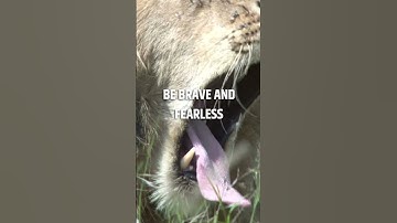 Courage be brave and fearless 👈motivational quotes/ motivational videos. #shorts #viral #motivation