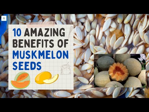 🔸10 Amazing Health Benefits Of Muskmelon Seeds || Muskmelon Seeds || Benefits of Melon Seeds