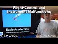 Flight Control and Instrument Malfunctions-  Eagle Academics