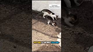 Mother Is The Best Teacher