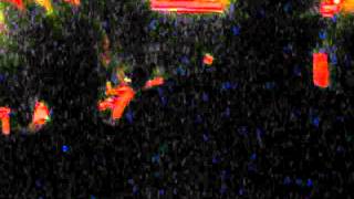 MVI_5545.AVI