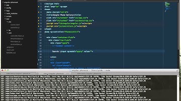 Guía para realizar el tutorial oficial de AngularJS - 3 - Filter