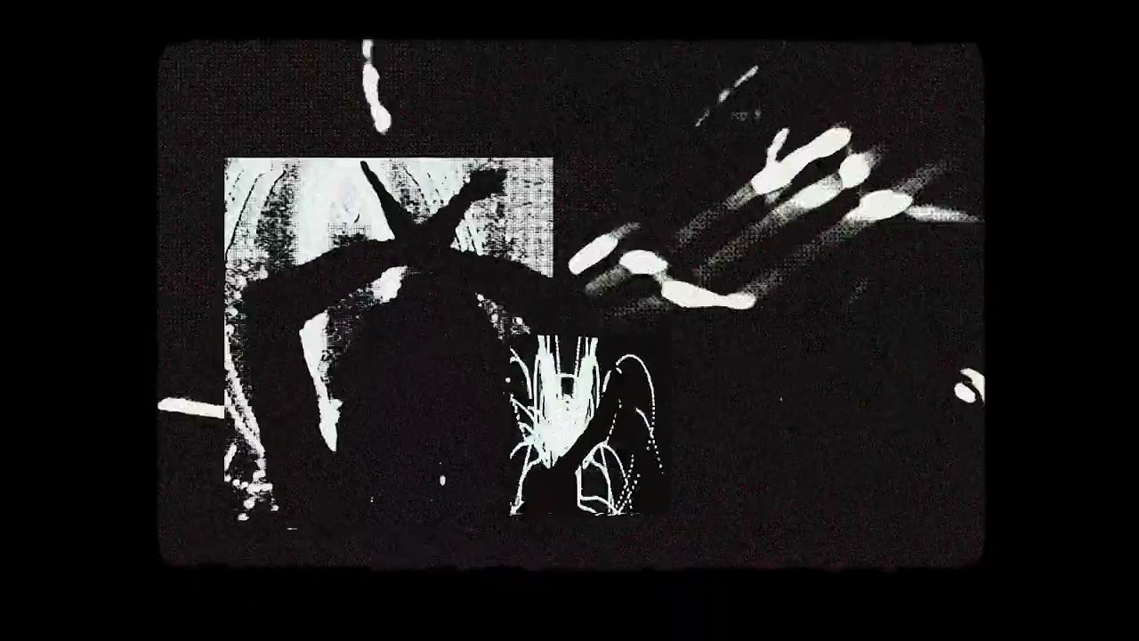 РИТМ СЕКЦИЯ (ROBOTIC ERROR VHS VIDEO)