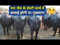 चार भैंस के डेयरी फार्म में कमाई होगी या नुकसान/Start Your Dairy Farming Business in India