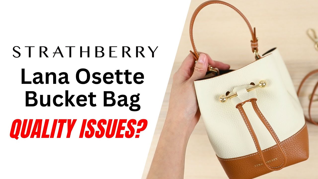 Strathberry - Lana Osette - Leather Mini Bucket Bag - White / Blue