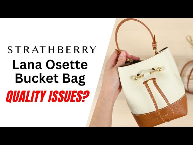 Strathberry Lana Osette Honest Review  Mod shots, What fits, Pros & Cons 