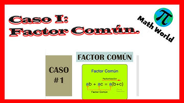 Primer Caso de Factorización: Factor Común | Ejercicio 1