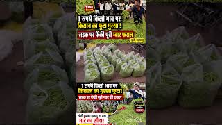 खेती बन गई घाटे का सौदा? किसान ने सड़क पर फेंकी पूरी ग्वार की फसल | Dhule Farmer Protest.