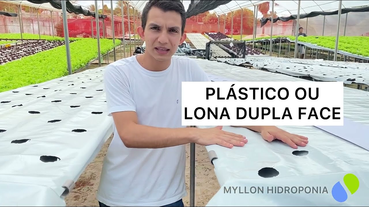 Como economizar de 30 a 40% com as bancadas de hidroponia.