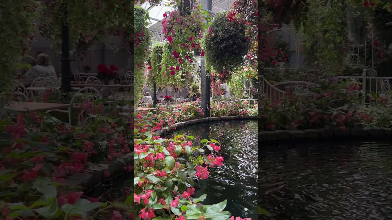 Coming Next in Ep.2 from Pantropica