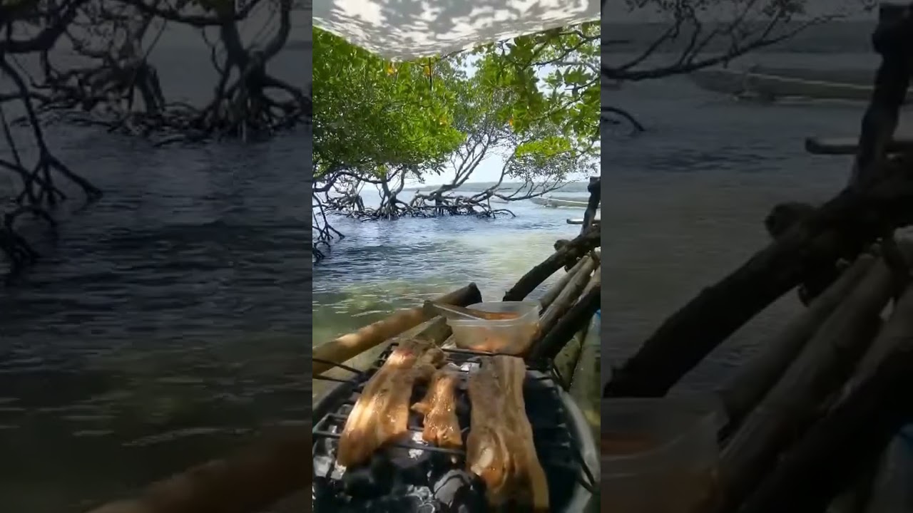 under the bakawan trees
