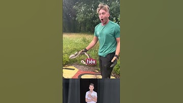 Phương pháp bất một con rắn an toàn và không an toàn