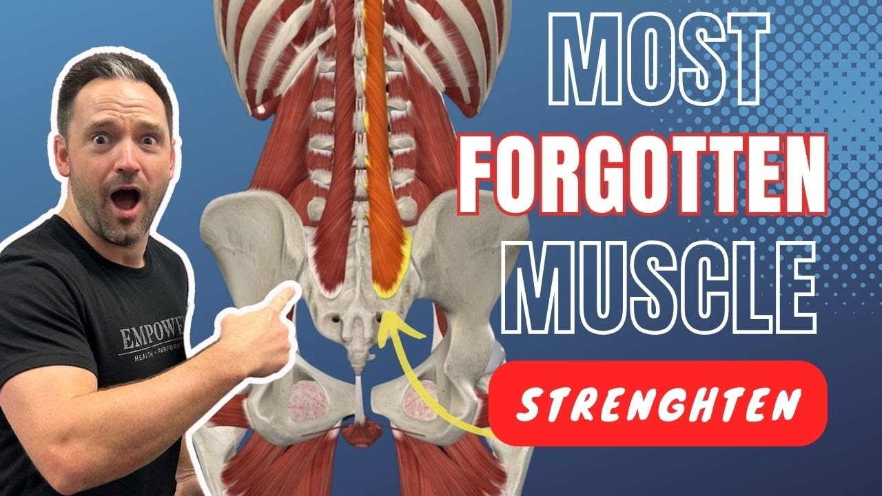 The Most Forgotten Back Muscle That’s Causing Your Chronic Lower Back ...