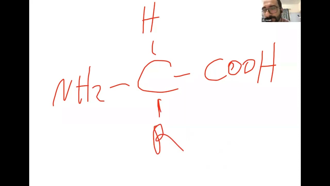 Lec1 AMINO ACIDS PEPTIDE AND PROTEIN (مرحلة اولى-طب ذي قار- Biochemistry)