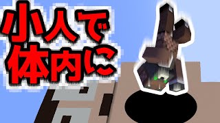 【医者になって患者を救え！】小人になって体の中から治療！？マイクラの手術方法が異次元すぎる『謎解き脱出配布マップ攻略』『マイクラ/マインクラフト/minecraft』