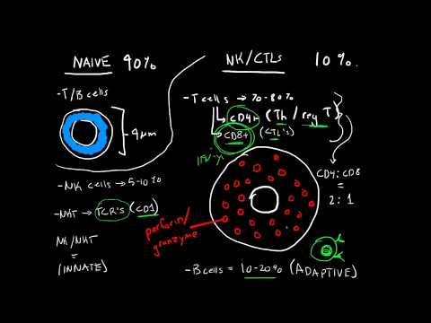 Видео: Разница между NK-клетками и NKT-клетками