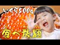 いくら500g食べ放題！かけ放題！大好きないくらだけど全部食べ切れるの？