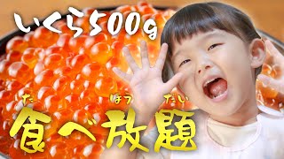 いくら500g食べ放題！かけ放題！大好きないくらだけど全部食べ切れるの？