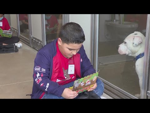 How a Cleveland school program connects students with dogs to enhance reading skills: Pup Stars