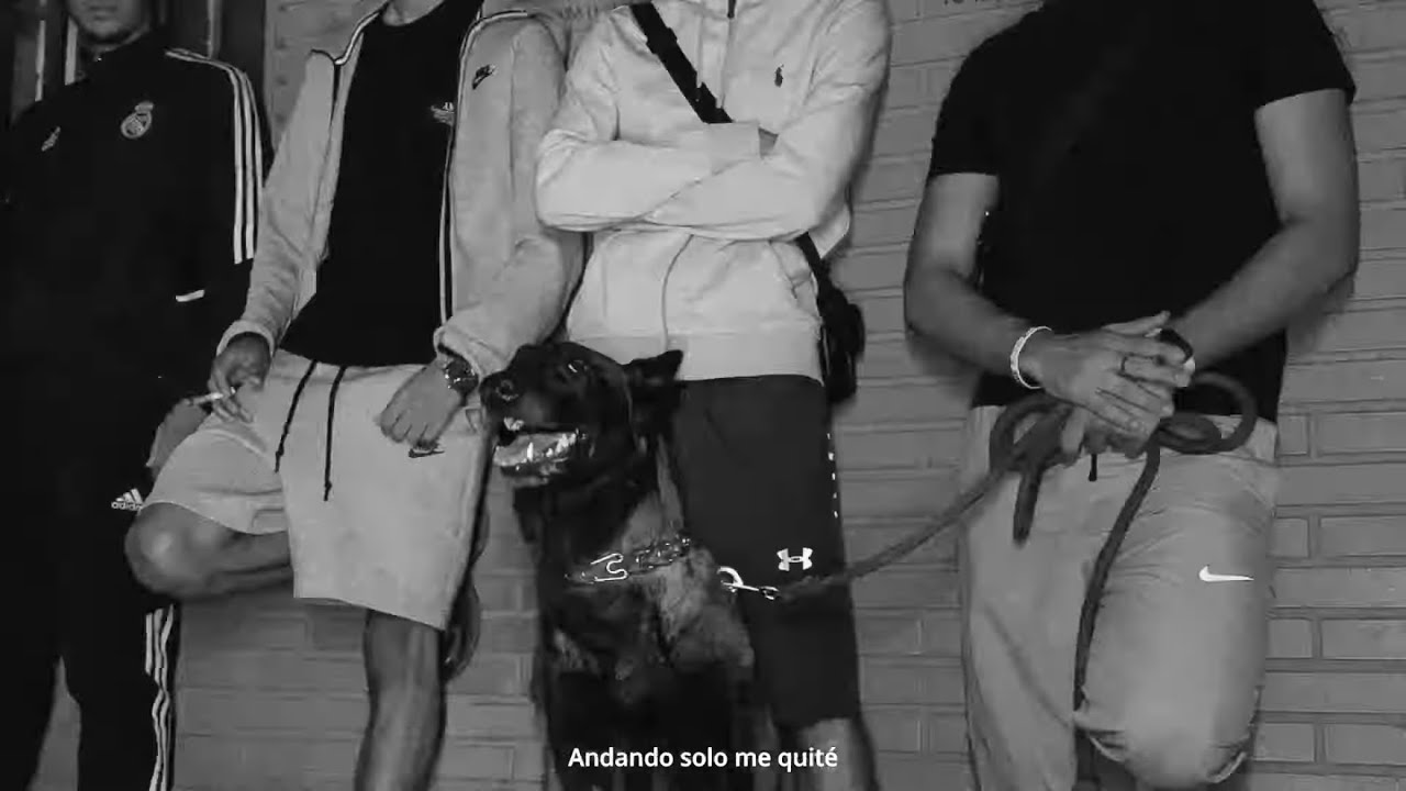 Wvlid - Donde estamos [VIDEO OFICIAL]