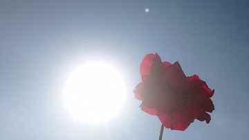 ما تيسر من سورة يوسف بصوت القارئ عبد الهادي 🤯#kuran #اكسبلور #الحمدالله #voiceeffects #ترند #cover