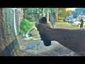 Bodycam Shows Moments Leading Up To Atlanta Officer Shooting Man With Gun