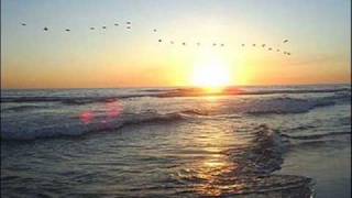 Video thumbnail of "Piazzolla - Trelles  - Los pájaros perdidos"