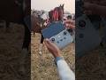 DJI mini 2 #reels #shortvideo #shorts #djimini2 #drone #dji #camera #new #video #viralsong #ytshorts