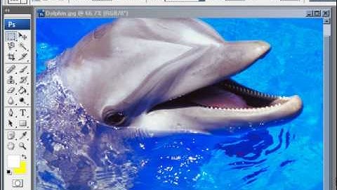 How to Check Image Size & Resolution