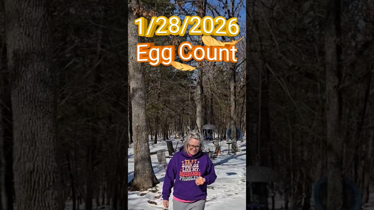 3 яйца? Нам вполне достаточно! (Плюс время для перекуса)