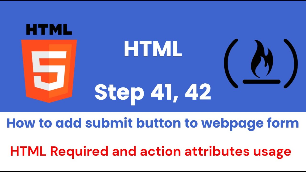Learn free coding on freecodecamp.org | Step 41, 42 | How to add submit ...