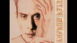 Video thumbnail of "Peter Murphy - Indigo Eyes"