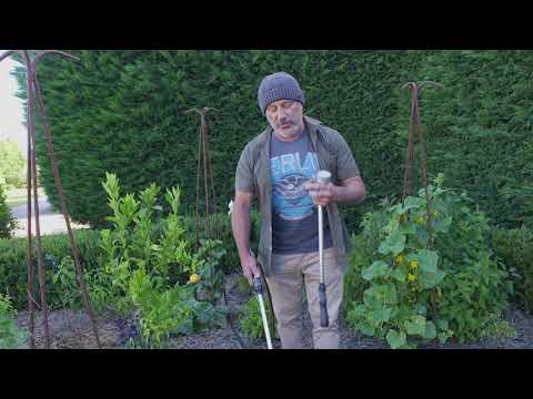 Video: Vodné prútiky pre rastliny – Ako používať polievaciu tyč v záhrade