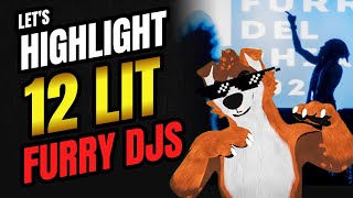 12 LIT FURRY DJs