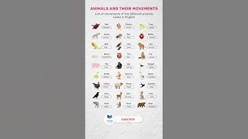 animals and their movements in English #animalsvocabulary #shortsfeed
