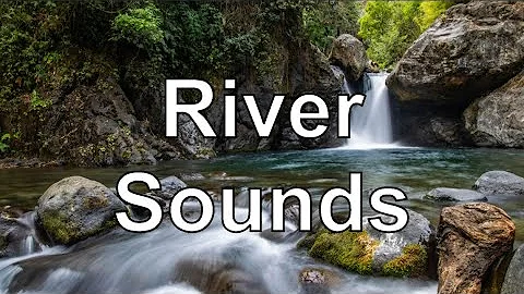 River Sounds | 20 Mins | Nature Noise | Relaxing Music