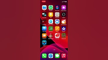 iPhone 11 Pro Vertical Screen Recording Test